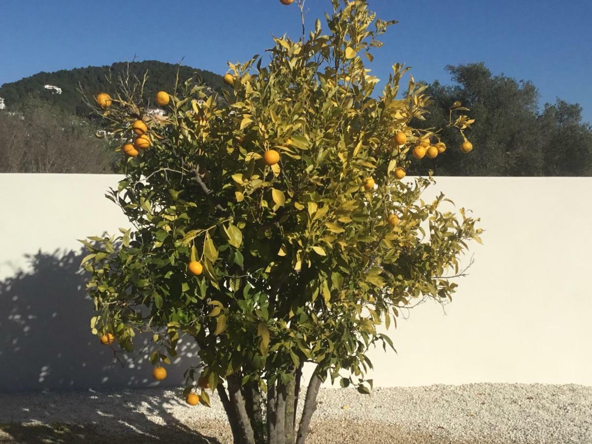 Casita In Javea With Garden And Pool - Dog Friendly! Exteriér fotografie